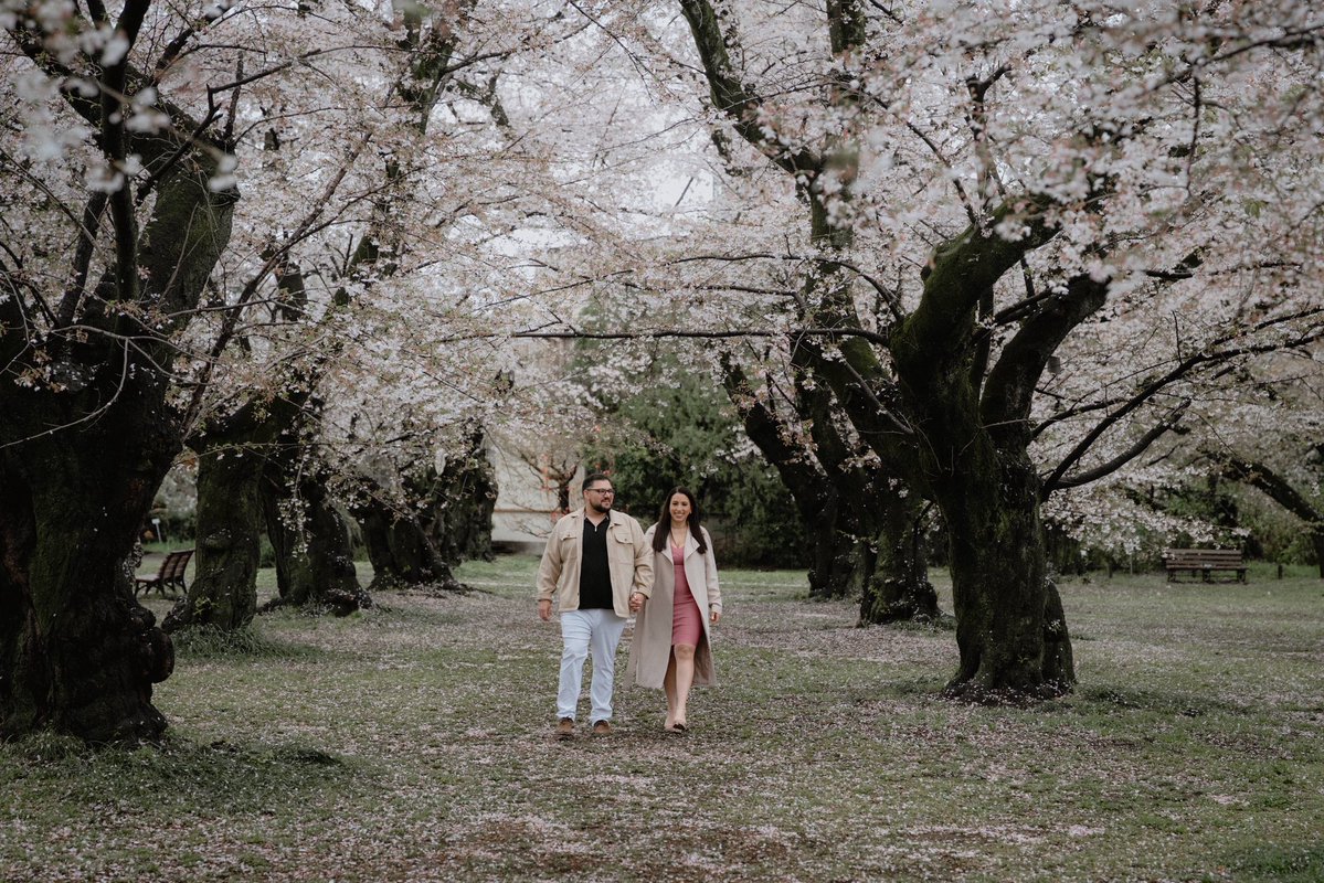 Giancarlo Navas tweet media