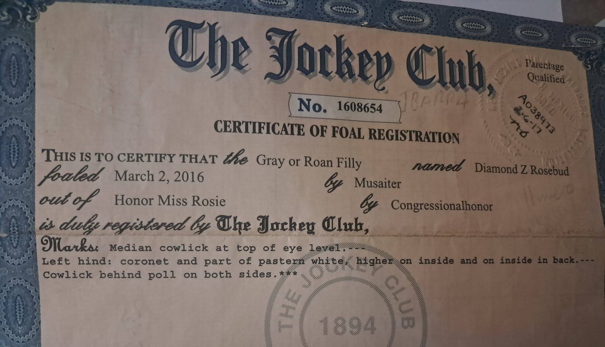 RACEFund's tweet image. 👉🔥🔥🔥🆘🆘🆘🆘🆘🆘🆘🆘🚨🚨🚨🚨
Folks, we and JWE have a real emergency on our hands for these 4 horses at the CO lot. JWE has only had $150 come in so we are going to divide the fundraising between us and JWE will fundraise for Till and Milly and the R.A.C.E. Fund will