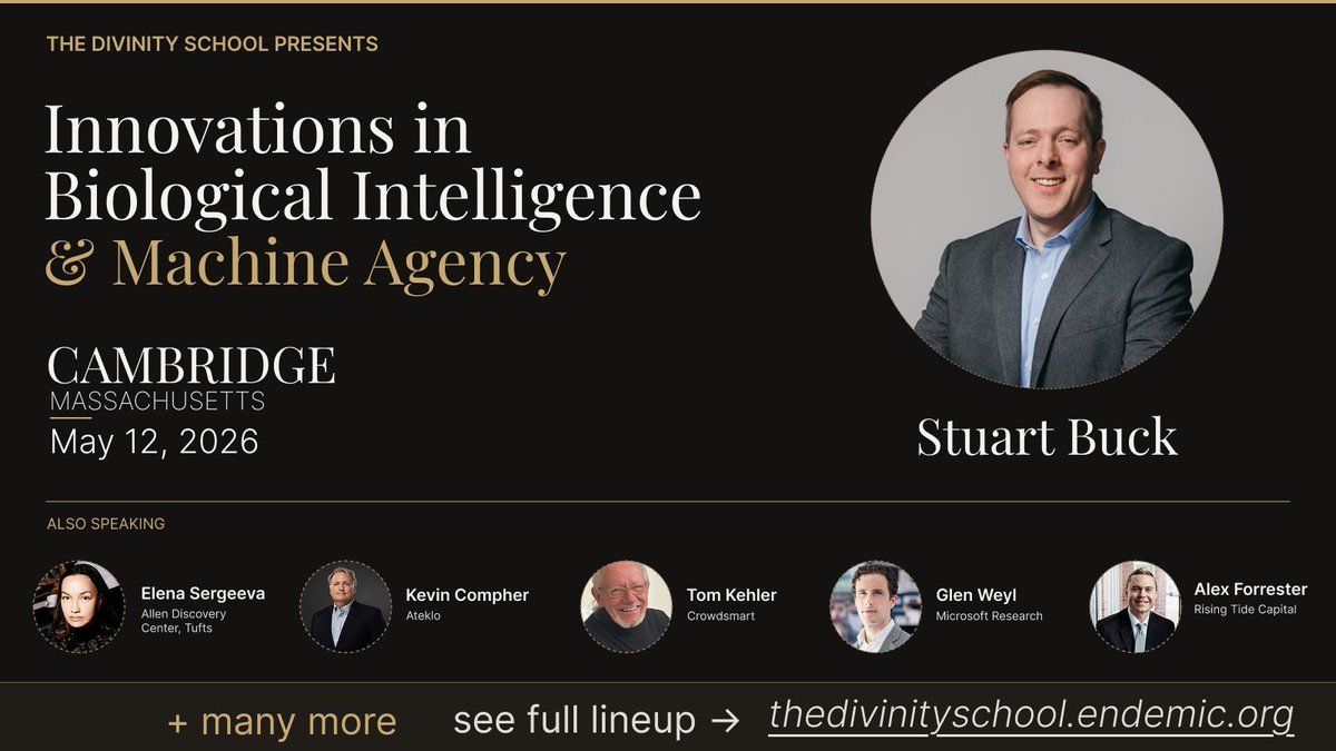 The Divinity School tweet media