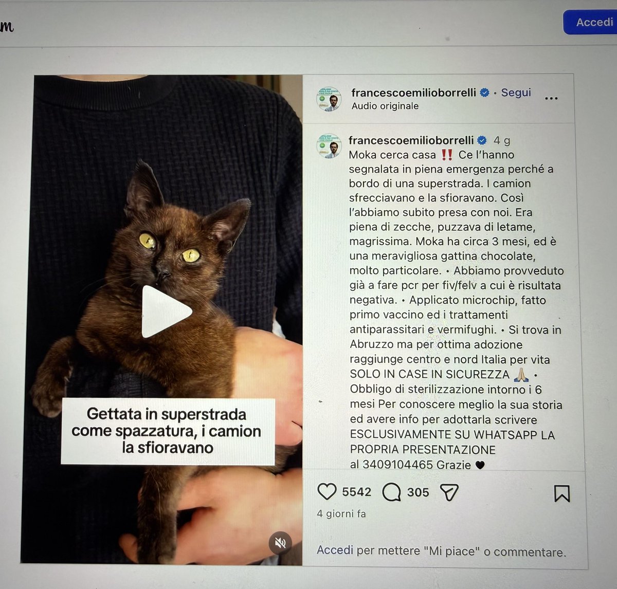 Elisabetta Poletti tweet media