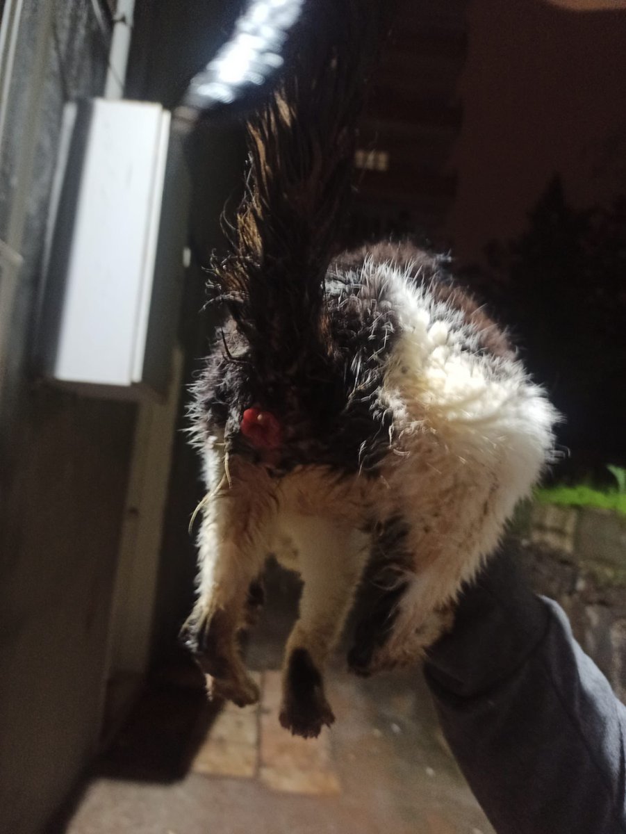 Arzu🇹🇷 tweet media