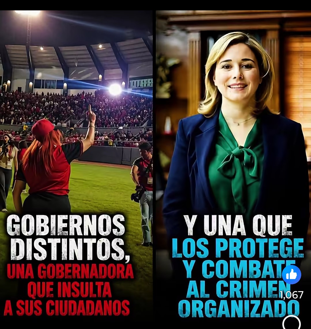 juan gonzalez olvera tweet media