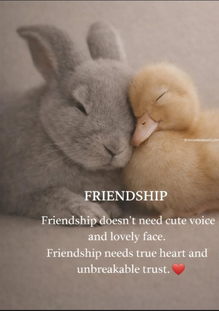 Jagriti876800's tweet image. #Happy #real