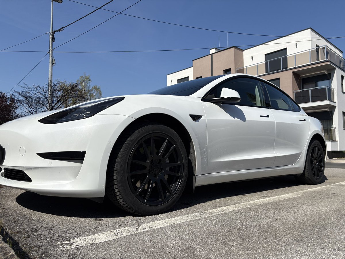 Zbrdä Zdöla tweet media