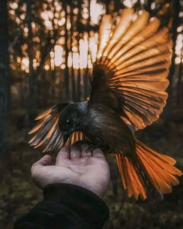 اشرف غنيم tweet media