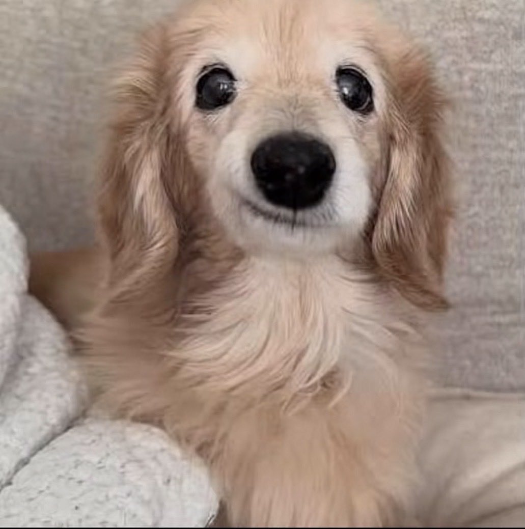 Toni Iyke tweet media