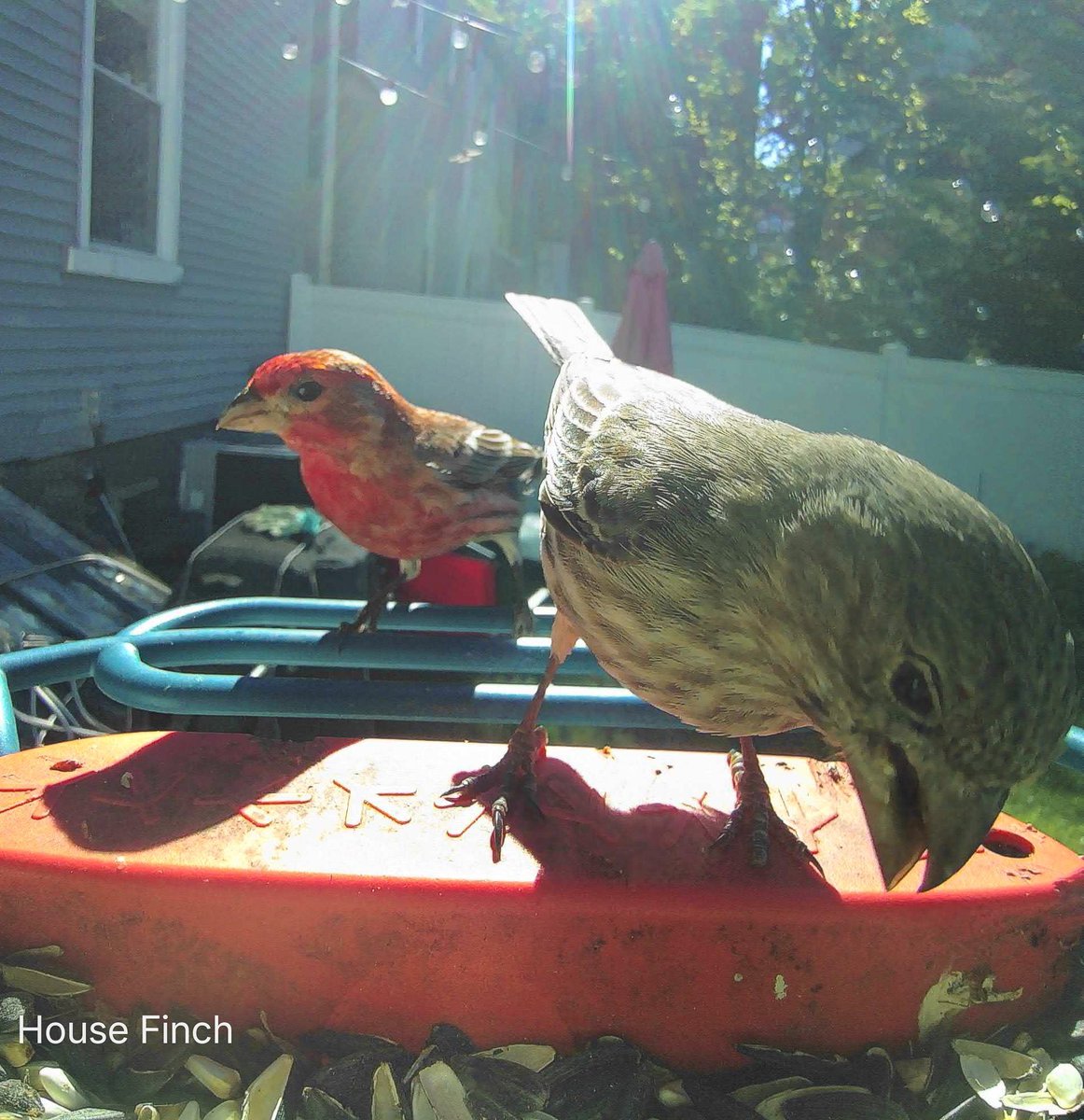 Jerry D 🐑 tweet media