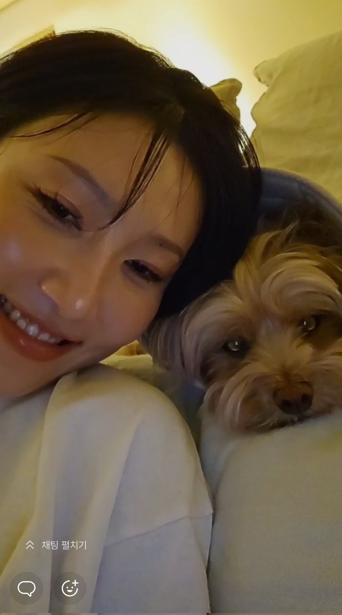 나의 사계절 마마무 tweet media