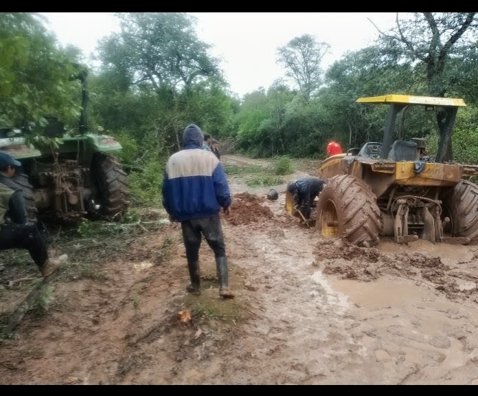 Mauricio Caminos tweet media