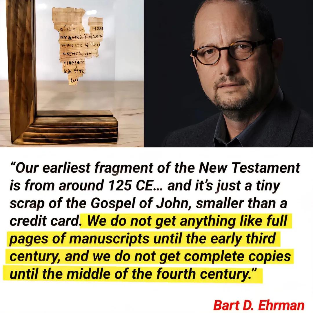 Fausto Portoghesi tweet media