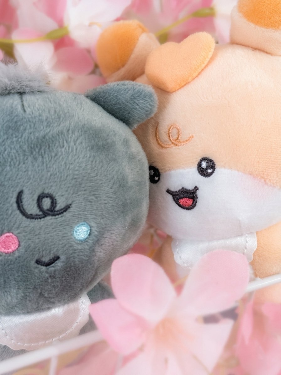 аманэ миса tweet media