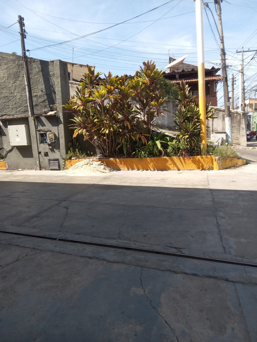 Allexia depp 🇲🇽 tweet media