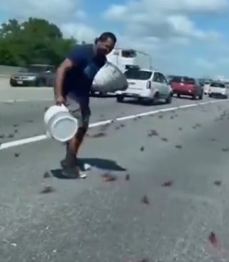 Perfunctory tweet media