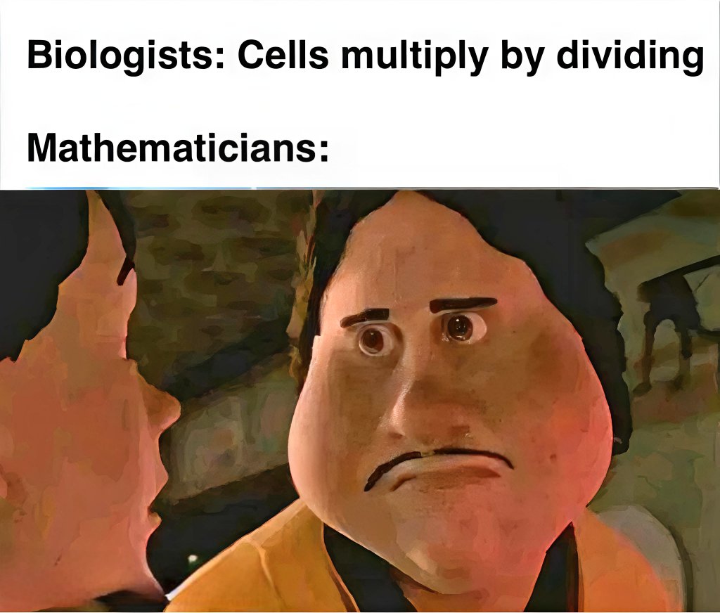 Math Files tweet media