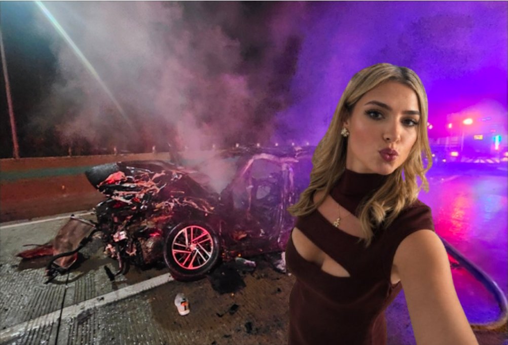 Brick Suit tweet media