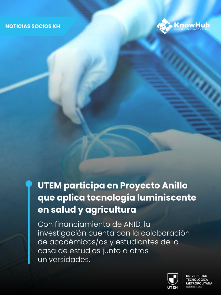 Know Hub Chile tweet media