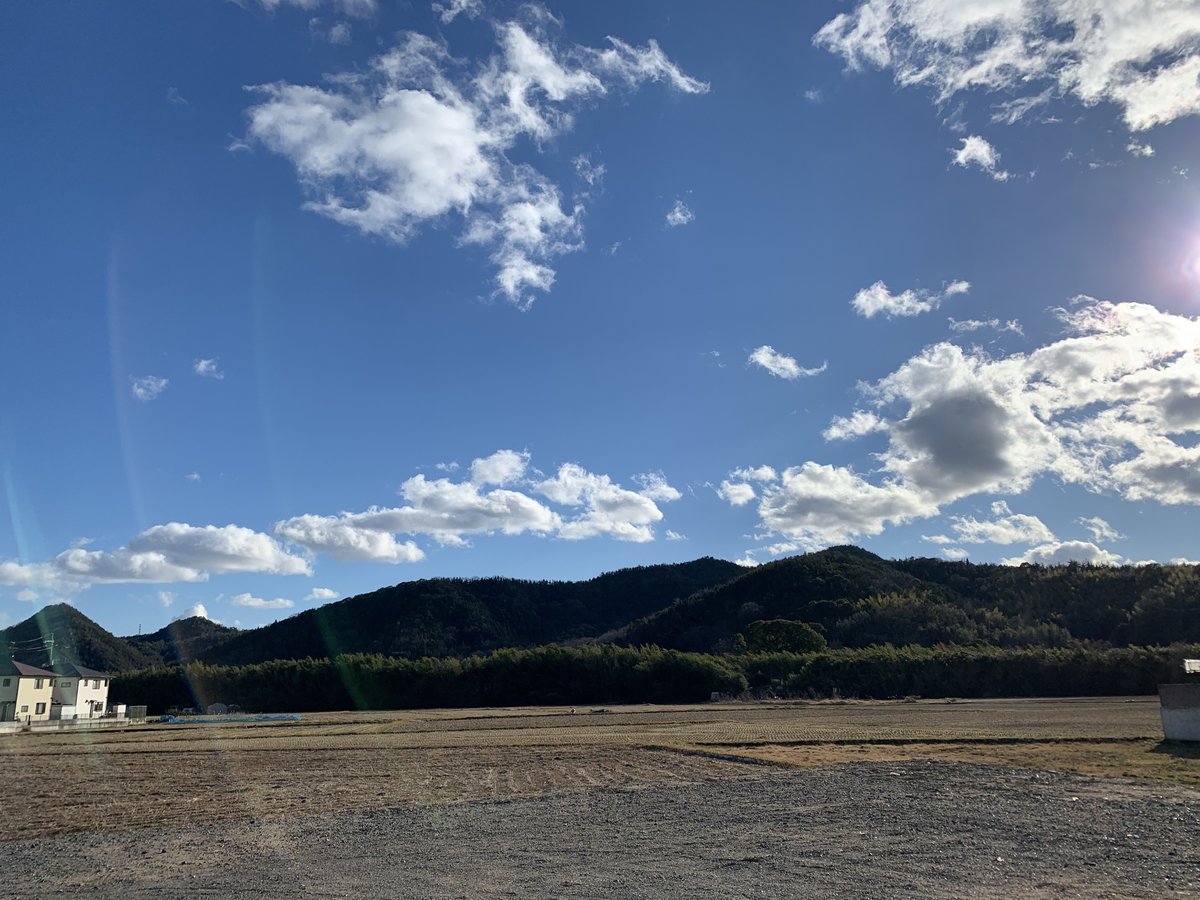 のらかめ🐢本能覚醒タロット✨ライトワーカー✨ tweet media