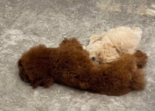 twiinล์✨ slow tweet media