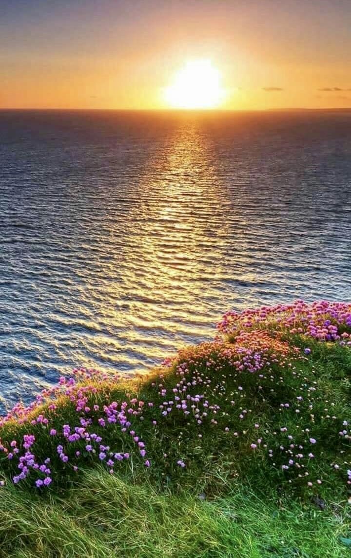 𝐌𝐮𝐬𝐤𝐚𝐧 tweet media