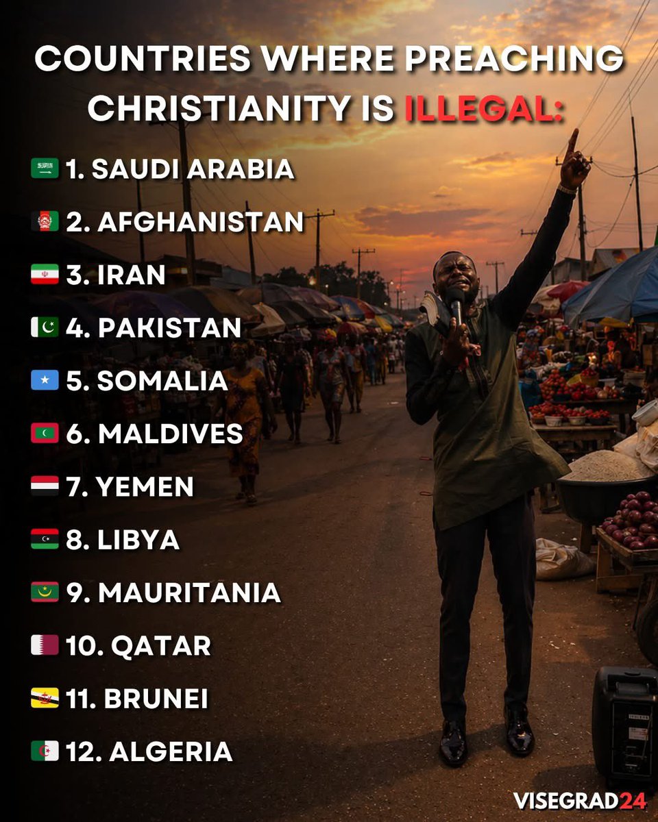 Visegrád 24 tweet media