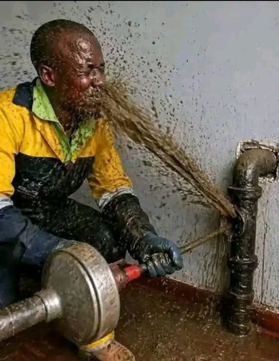 UUchechukw43289's tweet photo. imagine working as a plumber and this happened to u trying to fix someones toilet chamber. What's your next line of Action https://t.co/sfyBjbq6Uu