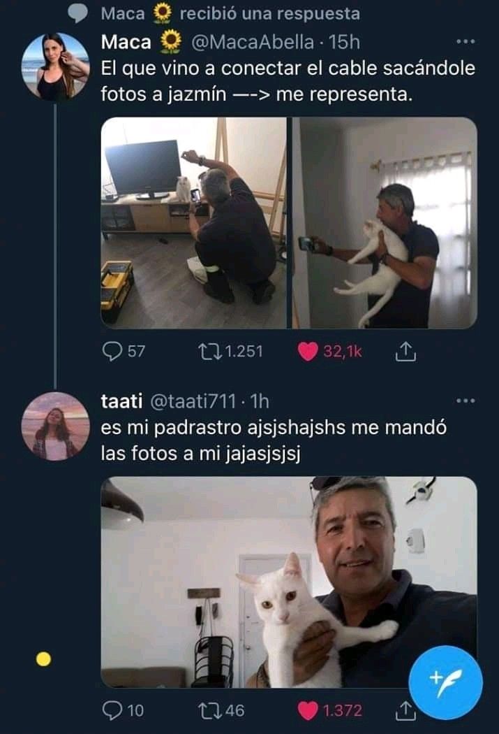 Alejo tweet media