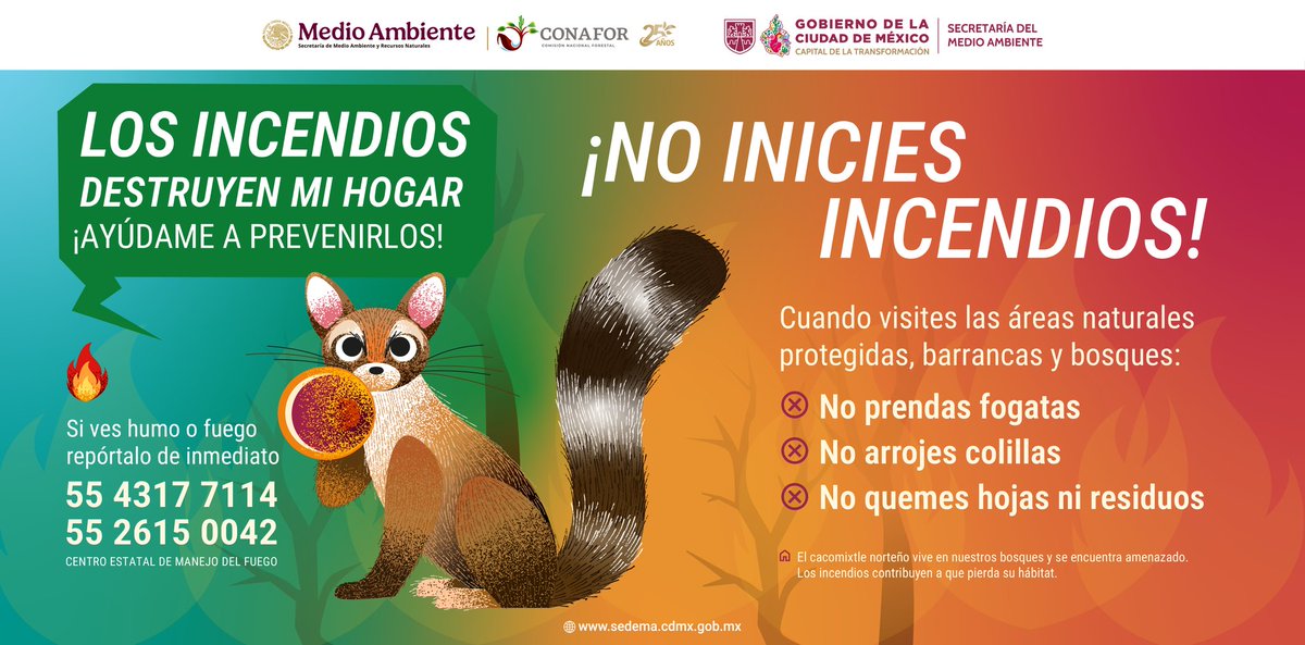 Gobierno de la Ciudad de México tweet media