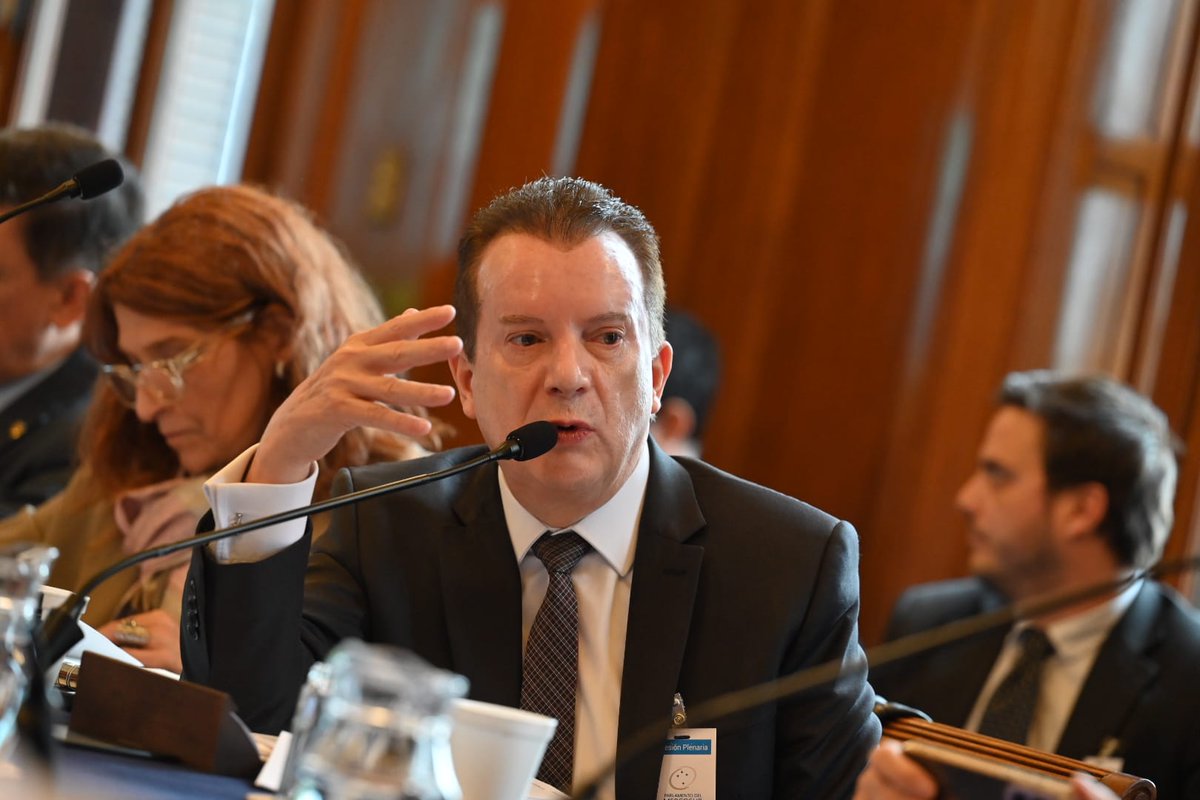 Parlamento MERCOSUR tweet media