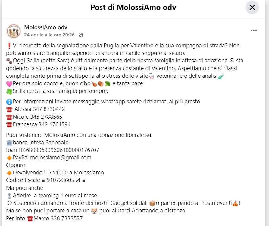 Qua la Zampa tweet media