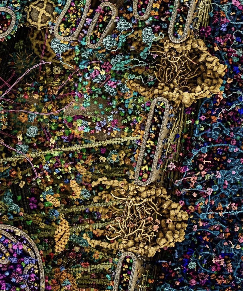 NEX Panama tweet media