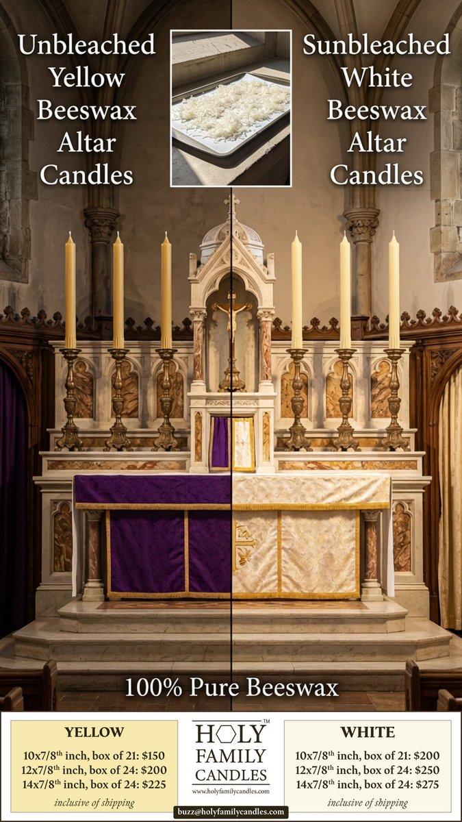 Dominic Savio Braganza tweet media