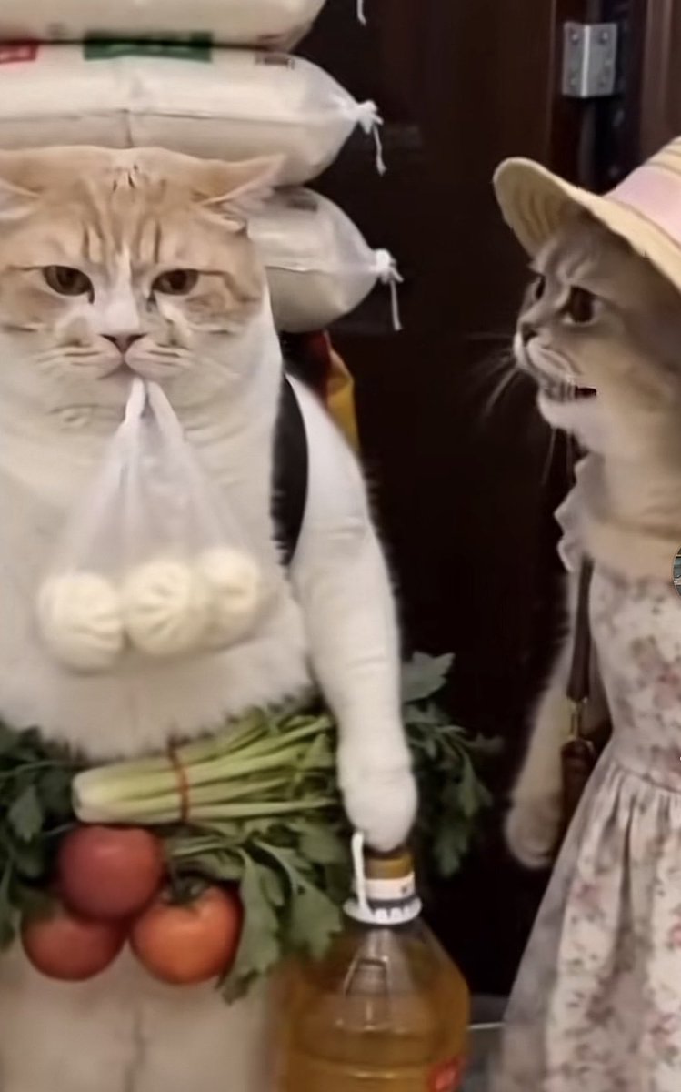 Владимир tweet media