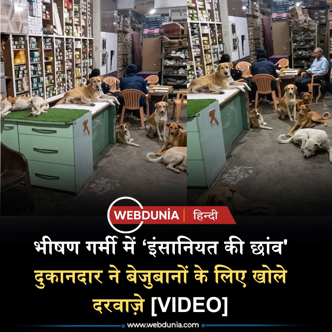 WebduniaHindi's tweet image. देखें Video : कहानी एक साधारण से दुकानदार की, जिसने असाधारण इंसानियत दिखाते हुए अपनी दुकान के दरवाज़े आवारा कुत्तों के लिए खोल दिए, VIDEO 👇

m-hindi.webdunia.com/national-hindi…

#dog #doglovers #HindiNews #trending #shop #shopkeeper #summer #heat #heatwave #wholesome