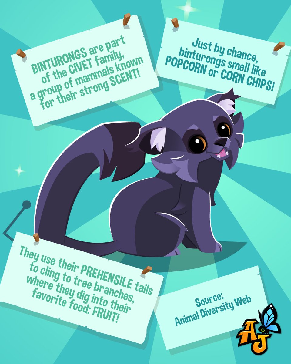 AnimalJam's tweet photo. Nature’s little acrobats! These amazing animals use their prehensile tails to hang onto branches while snacking on tasty treats. #animaljam #kidsgames #gaming #animaljamplaywild #AJPW #fyp #animals #AJanimals #didyouknow #learnwithus #animalfacts #kidsfacts #nature https://t.co/wKtIk6TrKe