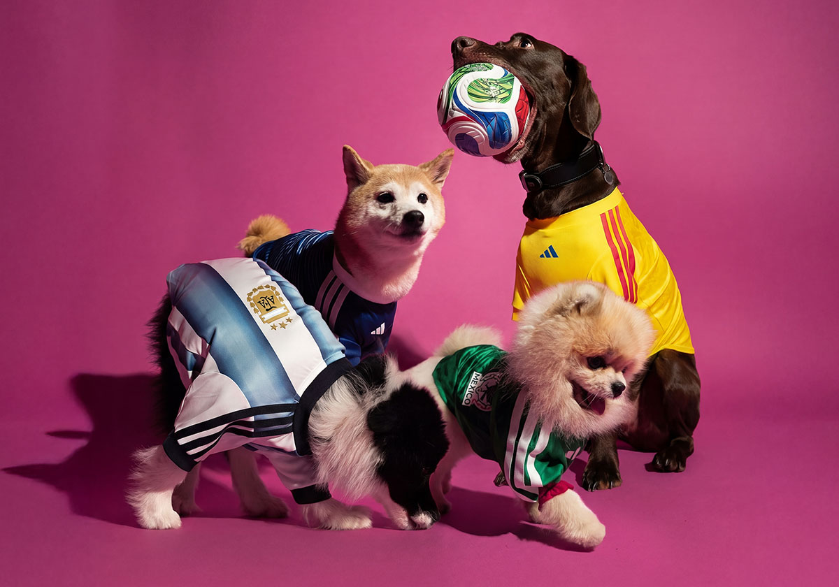 Fullress tweet media