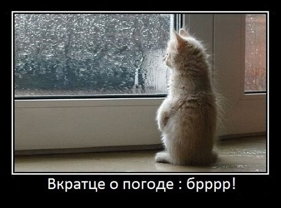 Тень прокуратора tweet media