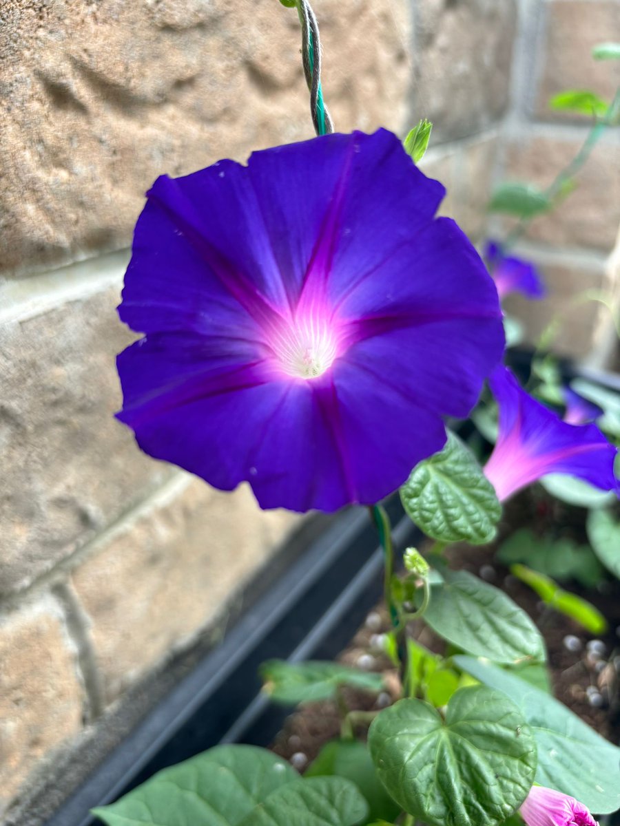 फूल मत दे, लेकिन बोल तो फूलों सा बोल ..
 जिसको सुनकर तितलियों सी ताजगी महसूस हो..!