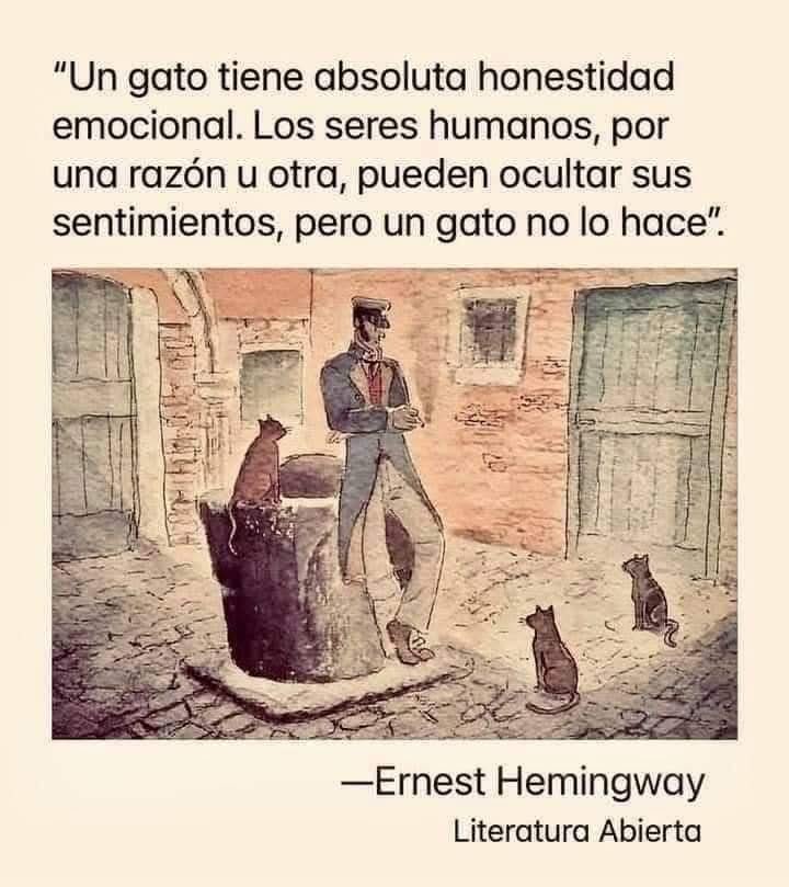 Dilo con gatitoz tweet media