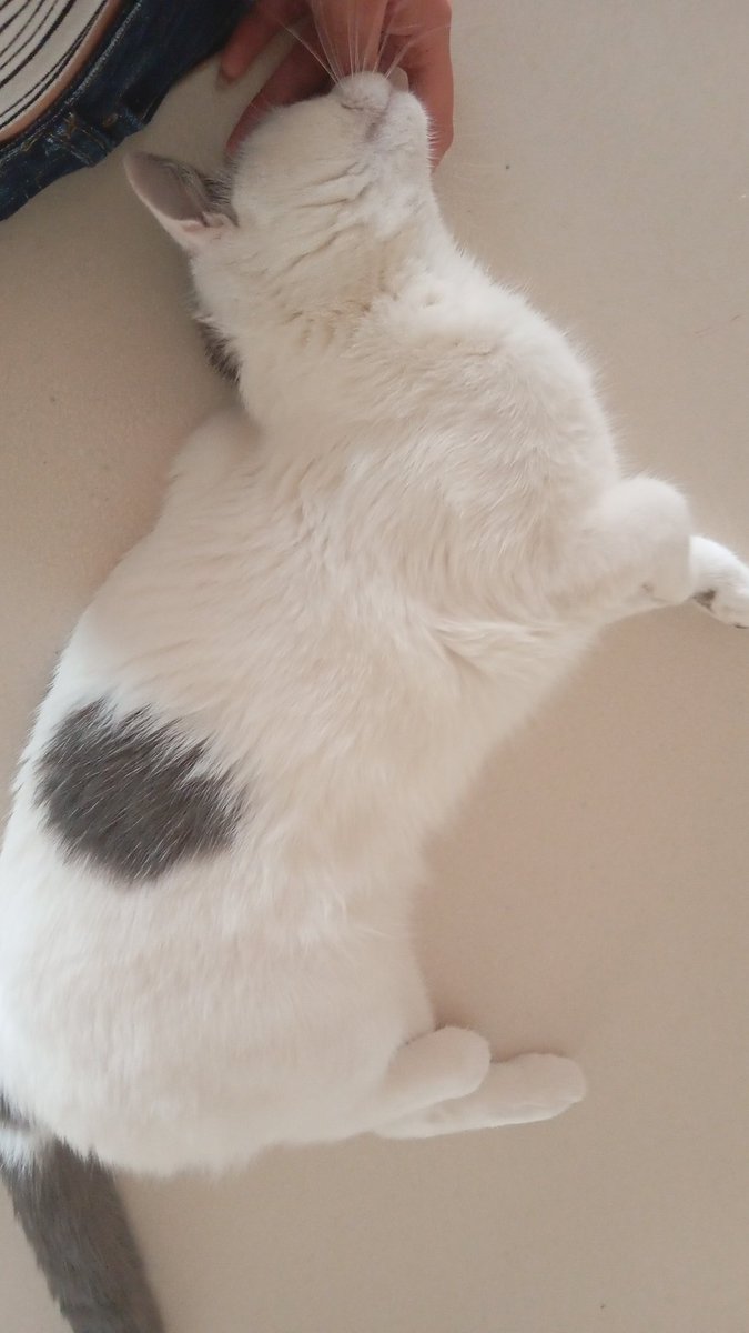 kefoyumm's tweet photo. cok sefgi dolu bi cocuk oldugumu biliyonuz mu https://t.co/hQ8TiT6unq