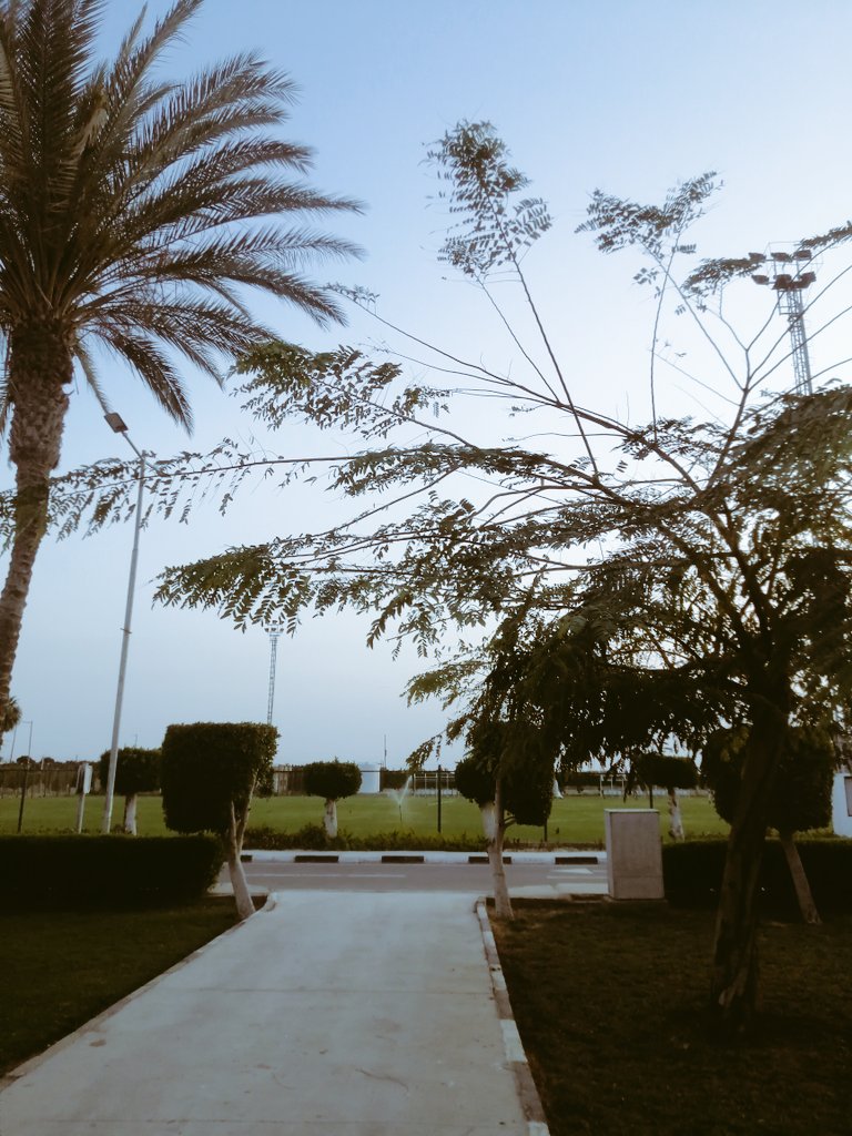 شَيْــمَــاء 𓂆 tweet media