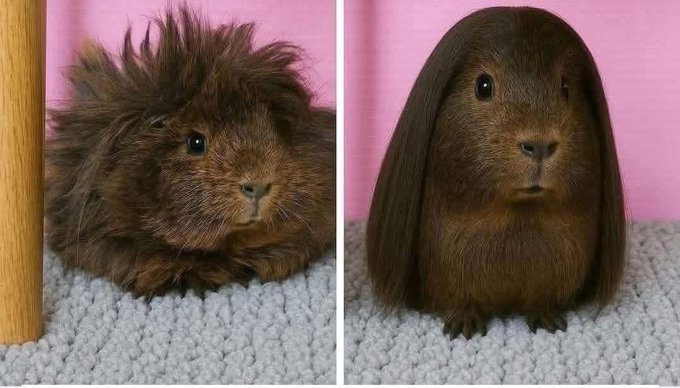 Frases Barbie tweet media