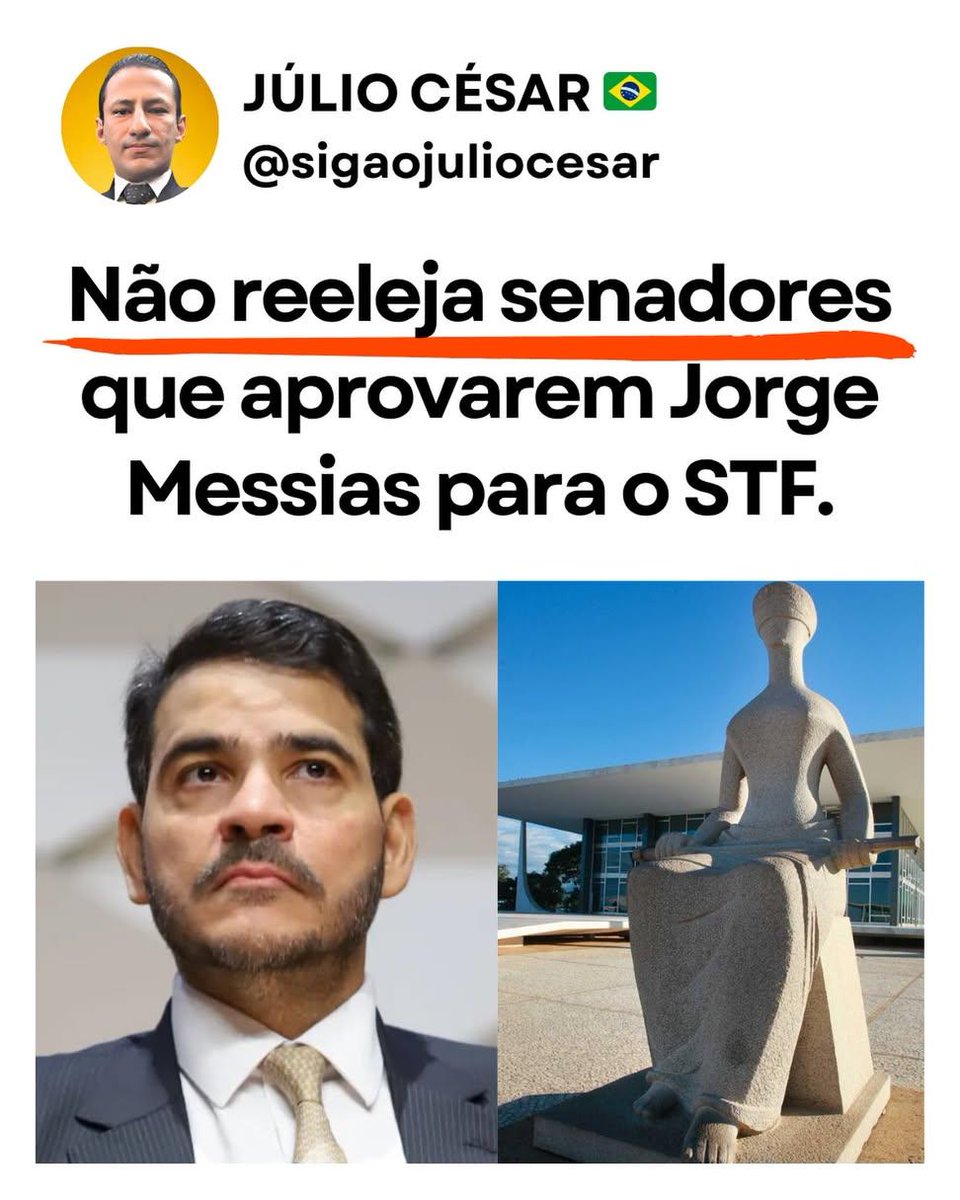 Thais 🇧🇷☘️💞 tweet media