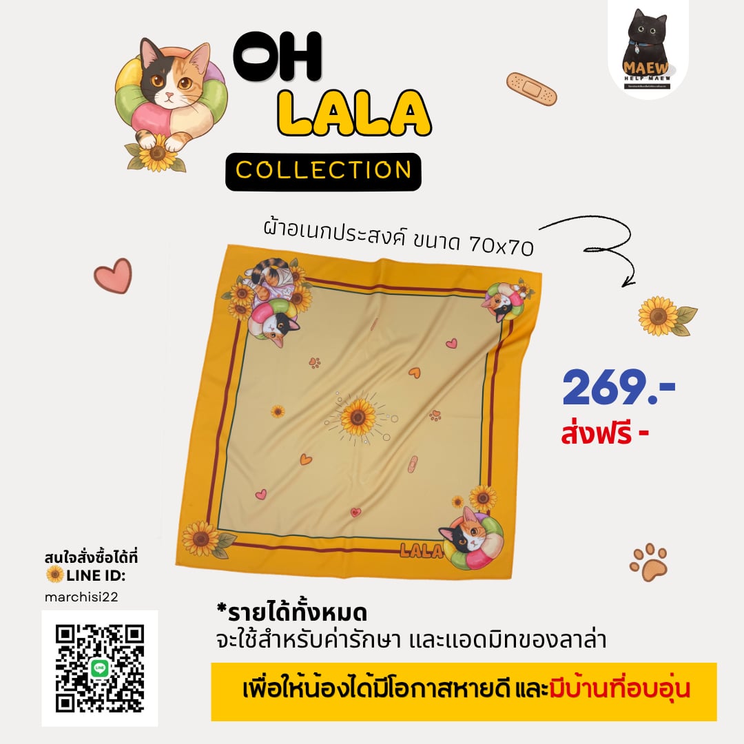 ไม่ควรมีแมวตัวไหนบนโลกใบนี้ต้องมาเป็นแมวจร tweet media