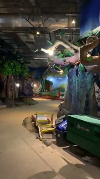 Splash Mountain Historical Society tweet media