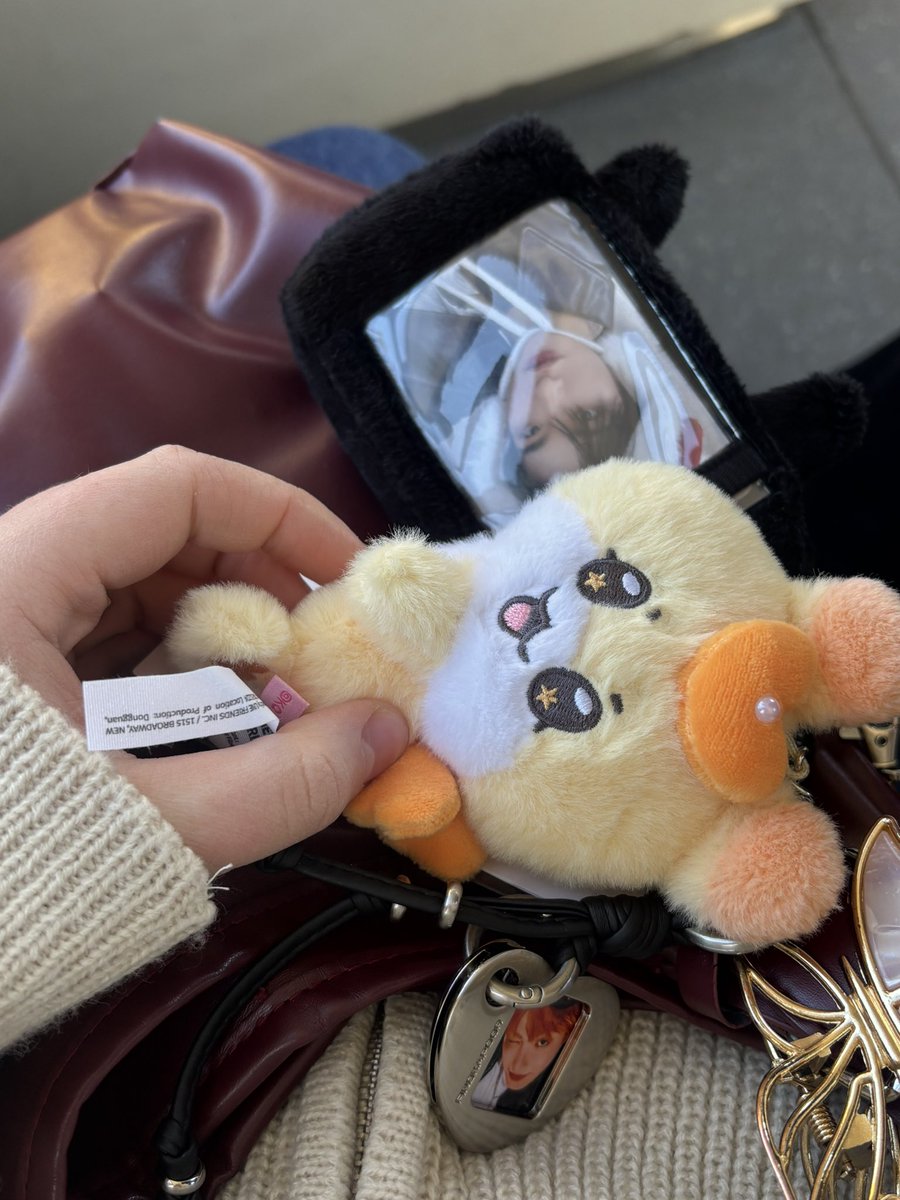 dari 🍊NEW tweet media