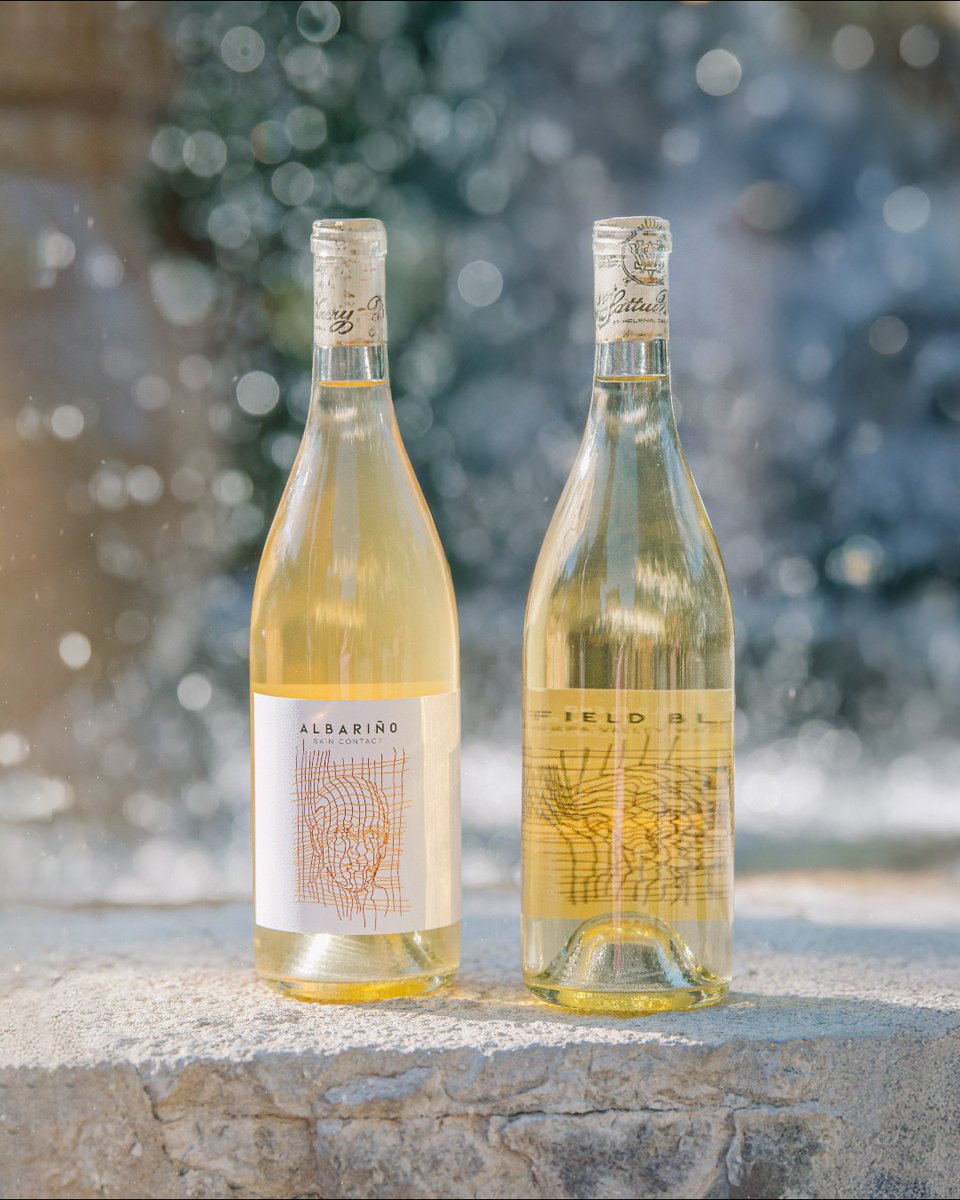 V. Sattui Winery tweet media