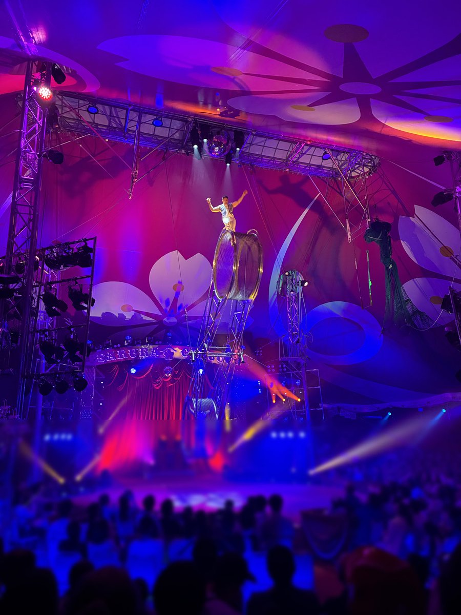 ゆかりゃ🌸 tweet media