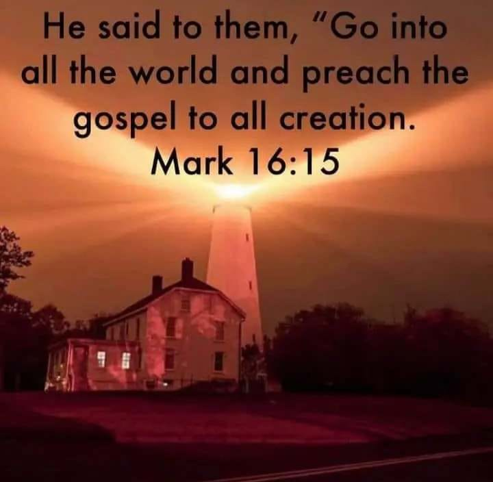 Falthman71 tweet media