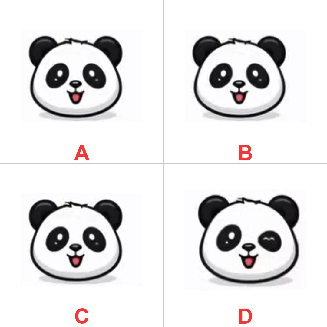 MindMazeX68's tweet photo. Which one is different ⁉️ 🧐

Pay attention to the details. https://t.co/Vns8qptOKd