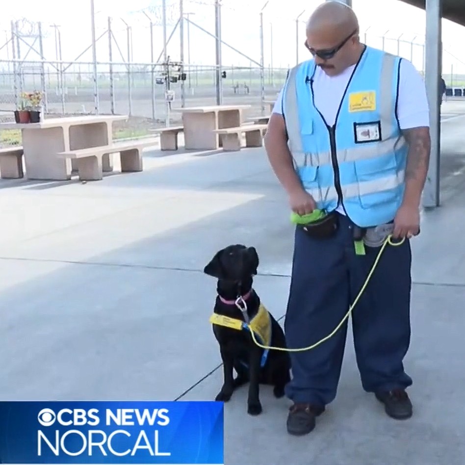 Canine Companions® tweet media